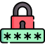 Password Icon